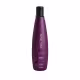 Kit Aneethun No Frizz Shampoo 300ml + Máscara 250g (2)