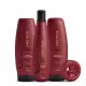 Kit Aneethun Force System Shampoo 300ml + Máscara 250g + Finalizador 250g + Dose 25g (1)
