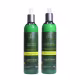 Shampoo e Condicionador Cachos Vector Force Curl & Wave