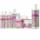 Kit Apse Cachos Linha Completa Tratamento Capilar Vegano 8 Produtos Apice (1)