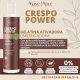 Kit Apice Crespo Power Shampoo + Gelatina + Mascara + Creme de Pentear + Mousse Cachos Profissional	 (3)