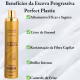 Combo 2 Escova Progressiva Sem Formol Profissional Perfect Plastia 500 ml Dyusar (2)