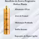 Kit Escova Progressiva Sem Formol Profissional Perfect Plastia 1L E Antiresiduo 1L Dyusar (2)