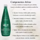 Kit  Help Pró Crescimento Shampoo 300ml  + Botulínica Capilar Clorofitum 20ml Clorofitum (3)