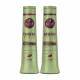 Kit Haskell Bananeira 500ml SH/COND