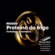 Trio Máscaras L'Oréal Professionnel para Nutrição, Proteção e Cores for Home (3 Produtos) (3)