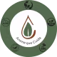 Aroom Aromaterapia Artemísia - Óleo Essencial 5ml (6)