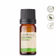Aroom Aromaterapia Bergamota - Óleo Essencial 10ml (3)