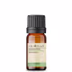 Óleo Essencial Hortelã Verde - Puro 10 ML Aroom Health (1)