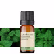Óleo Essencial Hortelã Verde - Puro 10 ML Aroom Health (5)
