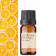 Aroom Aromaterapia Laranja Doce - Óleo Essencial 10ml (5)
