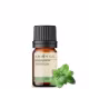 Óleo Essencial Orégano - Puro 5ML Aroom Health (4)