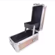 Cisne Mini Maleta Rosê Para Maquiagem, Joias e Acessórios CSN-5110 (3)