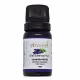 Óleo Essencial de Lavanda 40/42 Aromá 10 ml (1)