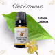 Óleo Essencial Litsea Cubeba Aromá 10ml (4)