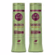 Kit Shampoo e Condicionador Bananeira Pós Química Cabelos Danificados Haskell 300ml (1)