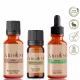 Kit óleos terapia capilar natural - Óleo Essencial Alecrim + Óleo Vegetal Coco e Castor (Rícino ) . (2)