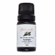 Óleo Essencial de Eucalipto Aromá 10ml - Vias Respiratórias (1)