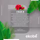Ekobé Cran. B - Suplemento Vitamínico 50ml (3)