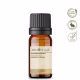 Óleo Essencial Gengibre - Puro 10 ML Aroom Health (2)