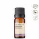 Óleo Essencial Patchouli - Puro 10 ML Aroom Health (2)