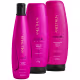Kit Proteção Da Cor Aneethun Color System 3 Produtos (1)