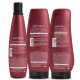 Kit Shampoo Máscara e Finalizador Aneethun Force System (2)