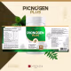 Picnogenol Pinus Pinaster + Ômega 3 590mg 30 Cápsulas (5)