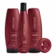 Kit Aneethun Force Shampoo+Máscara+Finalizador+Dose ( 4 produtos) (1)