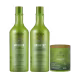Inoa Kit  Argan 3 Produtos Completo 