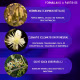 Floral De Bach Vigormais - Energia Fisica E Mental 30ml (4)