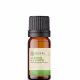 Óleo Essencial Alecrim Qt Cineol Puro - 10 Ml Aroom Health (1)