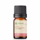 Óleo Essencial Anis Estrelado - 5 ML Aroom Health (1)
