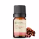 Óleo Essencial Anis Estrelado - 5 ML Aroom Health (2)