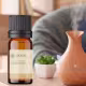 Óleo Essencial Gengibre - puro 10 ML Aroom Health (3)