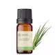 Óleo Essencial Palmarosa - puro 10 ML Aroom Health (2)