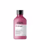 Kit L'Oréal Professionnel Serie Expert Absolut Repair Oil Pro Longer Duo (2 Produtos) (2)