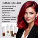Emulsão Reveladora OX 900ml Royal Color: Ativação Profissional para Cores Vibrantes - 40 volumes (2)