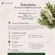 Óleo Essencial Puro Natural de Melaleuca 10 ml (4)