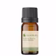Óleo Essencial Puro Natural de Melaleuca 10 ml (1)
