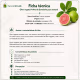 Óleo Vegetal Puro Natural Prensado a Frio Folha da Goiabeira 100ml (4)