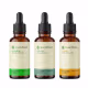 Kit óleos vegetais de Alecrim, Ojon polpa/Batana e Rícino - 30 ml cada (1)
