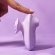 Sugador Clitoriano Estimulador Clitoriano Vibrador Feminino Massageador Íntimo Sucção Clitóris Estimulação Compacto Portátil Recarregável Silicone 10 Modos Silencioso Discreto Prazer Feminino Casal (2)