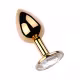 Plug Anal "P" Dourado com Pedra Brilhante - Transparente