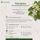 Óleo Essencial Natural de  Neroli a 10%  5 ml (2)