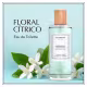 Perfume Chanson D'eau Neroli Feminino Eau de Toilette 100ml (3)
