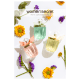 Eau My Delice Women'Secret Eau de Toilette - Perfume Feminino 100ml (7)