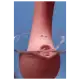 Pantynova Putz Rosa - Sugador Vibratório (10)