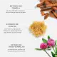 Kit Shiseido Bio-Performance Skin Filler Refil (2 Produtos) (10)