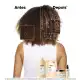L'Oréal Professionnel Serie Expert Absolut Repair Omega-9 + Protein - Shampoo 1,5L (5)